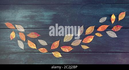 A panoramic autumn background with fall leaves on a dark blue wooden texture, a design template with a place for text, toned ima Stock Photo