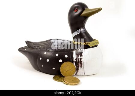 An isolated coin bank of the Loon that is represented on the Canadian one dollar coin called the Loonie. Stock Photo