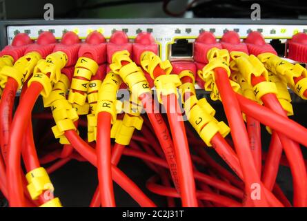 Ethernet RJ45 cables are connected to internet switch on business server network Stock Photo