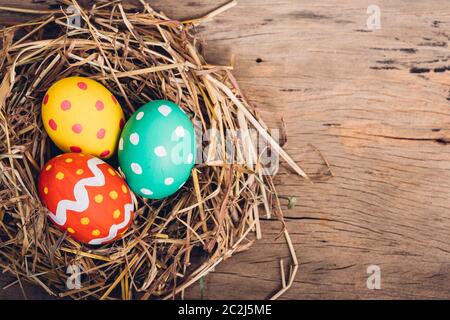 Beautiful Easter multi color egg in straw on wooden background, Easter day concept Stock Photo