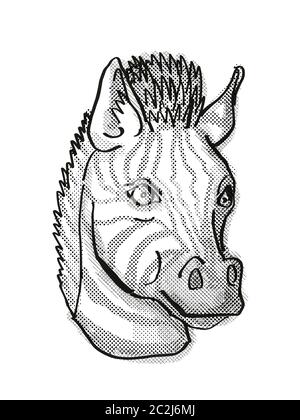 Retro cartoon style drawing head of a zebra viewed from front on isolated white background done in black and white Stock Photo