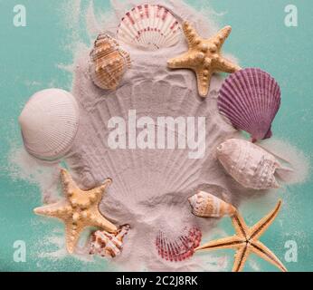 Starfish and seashells on dune sand. Top view Vacation background. Stock Photo