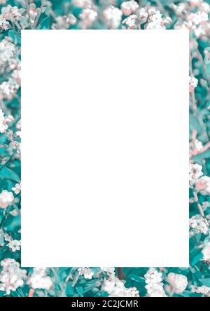 White Frame with Decorated Borders Stock Photo