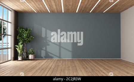Empty room with plants ,blue wall.wooden ceiling and led lighton wooden ceiling -3d rendering Stock Photo