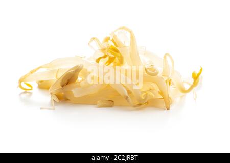 Preserved mung sprout isolated on white background. Stock Photo