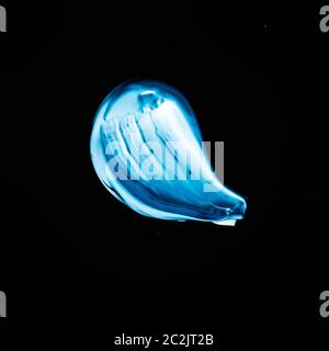 Paint brush stroke texture isolated on black background Stock Photo