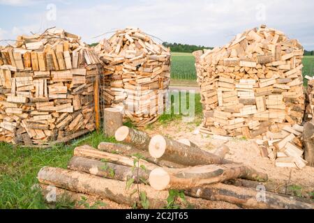Timber logs on a lumberyard in a springtime field environment Stock Photo