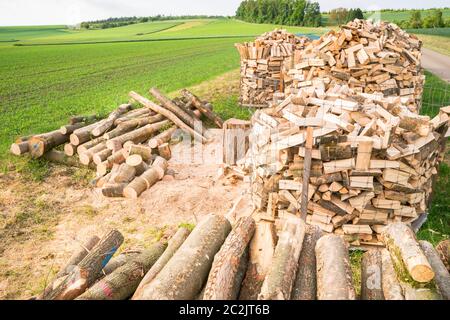 Timber logs on a lumberyard in a springtime field environment Stock Photo