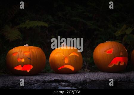 Illuminated Jack-O'Lantern pumpkins in the Black Forest Stock Photo