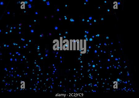 Blue lights on black background illuminating in the dark Stock Photo