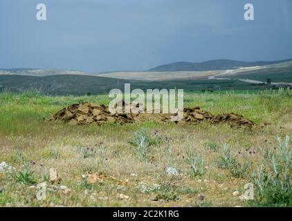 Piles of manure in the field. Cow and horse manure with land. Stock Photo