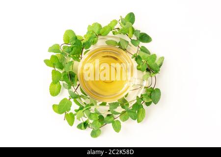 Mint tea cup, overhead shot on a white background with vibrant fresh mint leaves Stock Photo