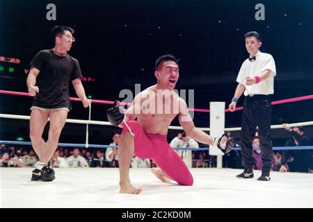 Tokyo, Japan. 20th Apr, 1995. Yuki Nakai MMA : Vale Tudo Japan at Nippon Budokan in Tokyo, Japan . Credit: Yukio Hiraku/AFLO/Alamy Live News Stock Photo