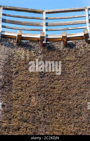 Graduation tower, great inhalatorium in the resort near Krakow, Wieliczka, Poland. Close-up view of brushwood with mineral deposits Stock Photo