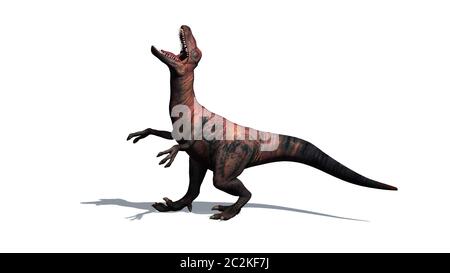 Dinosaur - Velociraptor - two-legged predator with a long stiff tail Stock Photo
