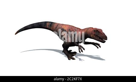 Dinosaur - Velociraptor - two-legged predator with a long stiff tail Stock Photo