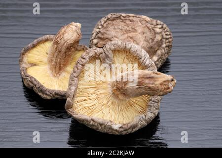 Japanese dried shiitake mushrooms on black background Stock Photo