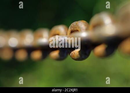 Rusty iron chain Stock Photo