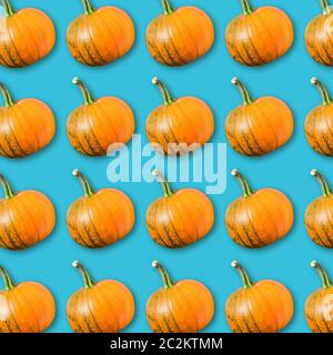 Geometric arrangement of orange pumbpins on turquoise background, colorful vegetable texture, vegan food pattern, autumn Haloween background Stock Photo