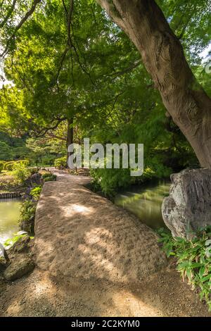 Large stone bridge named Togetsu bridge on a pond under a big mapple tree in the garden of Rikugien in Tokyo in Japan. Stock Photo