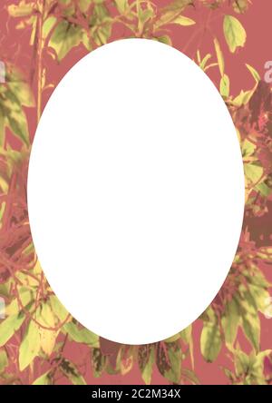 Circle Frame Background with Decorated Borders Stock Photo