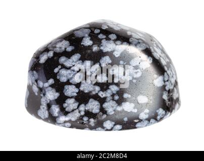 closeup of sample of natural mineral from geological collection - polished Snowflake Obsidian gem isolated on white background Stock Photo