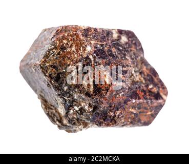 closeup of sample of natural mineral from geological collection - raw Almandine (almandite, garnet) crystal isolated on white background Stock Photo