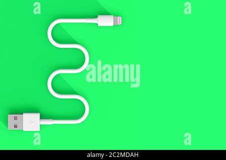 flat lay usb cable, 3d render image. green background. connectivity and technology concept. Stock Photo