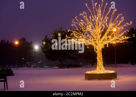 Gold lights Christmas Tree and dark outside Stock Photo