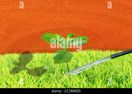 jet of water irrigates the desert and young plants grows in the grass Stock Photo