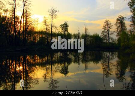 Wild landscape with sunset under river. Trees are reflected in water of river during sunset. Spring Stock Photo