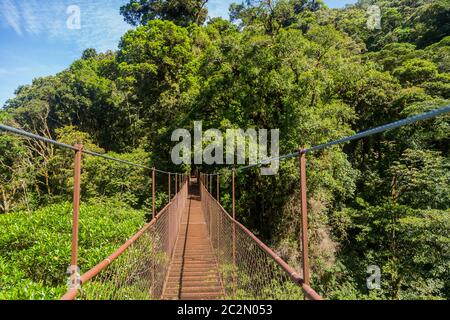 old hanging bridge in the jungle of Panama Stock Photo