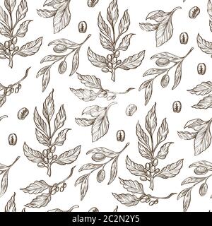 Coffee beans growing on branches with leaves seamless pattern Stock Vector