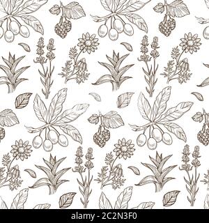 Sea buckthorn and aloe vera, flowers and leaves seamless pattern Stock Vector