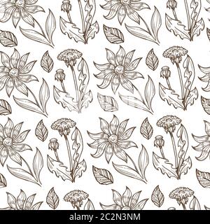 Dandelion and flowers in blossom, colorless seamless pattern Stock Vector