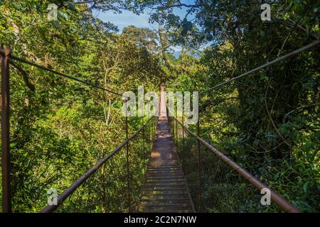 old hanging bridge in the jungle of Panama Stock Photo