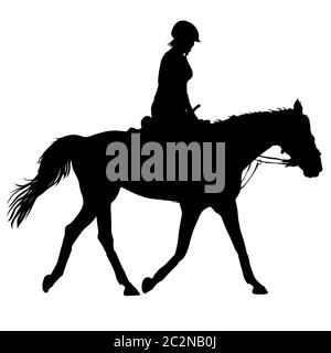 vector silhouette of horse and jockey Stock Photo