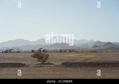 bleak desert landscape of reddish sands with mountain and rock formations in northern Saudi Arabia Stock Photo