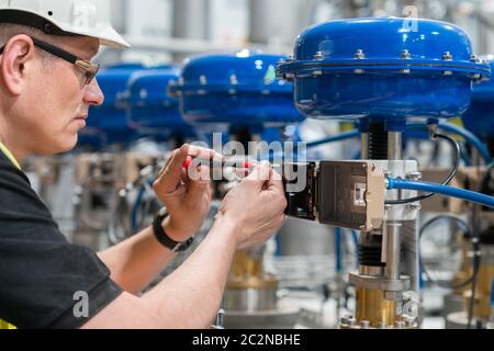service engineer checks an pneumatic valve with a screwdriver Stock Photo