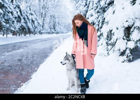 Siberian husky sitting near young woman, snowy forest on background. Cute girl with charming dog Stock Photo