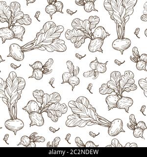 Beetroot vegetable with leaves, ripe veggie seamless pattern Stock Vector