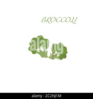 Broccoli, a vector object. Fresh fruit. Vitamins C. Stock Vector