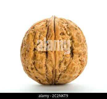 Closed big walnut isolated on white Stock Photo