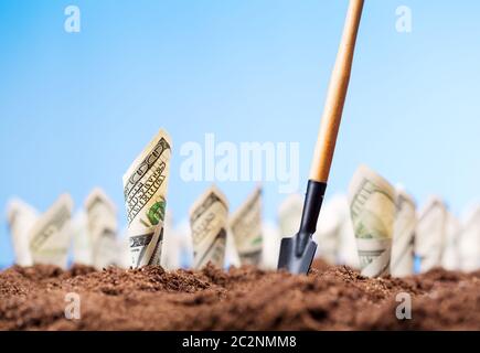 American dollars grow on the garden bed with shovel Stock Photo