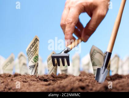 American dollars grow from the ground - carrying the investments Stock Photo