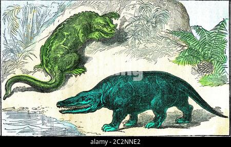 The iguanodon and the megalosaurus of the Cretaceous period, vintage engraved illustration. From Natural Creation and Living Beings. Stock Photo