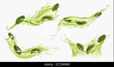 Splash of green tea with mint, matcha isolated on transparent background. Vector realistic set of liquid waves of falling and flowing water, menthol drink, cold tea with peppermint leaves Stock Vector