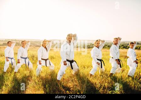 Karate class work out the stand, training in summer field. Martial art workout outdoor, technique practice Stock Photo