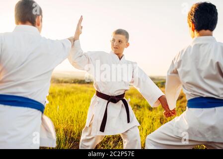 Junior karate fighters, training fight in summer field. Martial art workout outdoor, technique practice Stock Photo