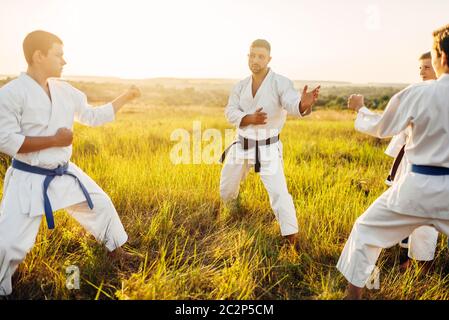 Junior karate class with master on training in summer field. Martial art workout outdoor, technique practice Stock Photo